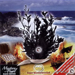 107010_Super_Wundermuschel_Mystery_Pearl_001_web_o3ff307f240624103a9ac894dcad4b6b7 - kunstundspiel