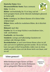 50 heimische Garten- & Feldpflanzen Moses