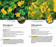 BASIC Früchte und Wildkräuter Franckh-Kosmos Verlag