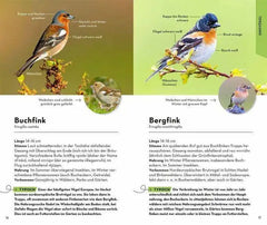 BASIC Gartenvögel Franckh-Kosmos Verlag