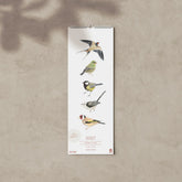 Familienkalender 2027 Gartenvögel