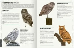 Das große Lexikon der Vögel