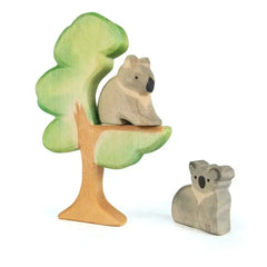 Eukalyptus Baum - 91372246 Ostheimer