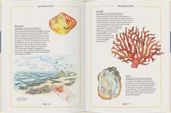 Gold, Granit & Diamant Gerstenberg Verlag