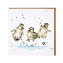 Grußkarte - Puddle Ducks - 3 Entchen in der Pfütze - JCS194 Wrendale