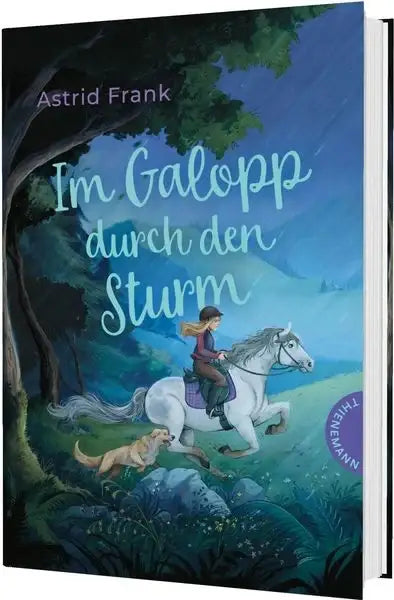 im-galopp-durch-den-sturm-kunstundspiel-1 - kunstundspiel