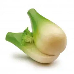 Fenchelknolle Erzi