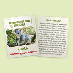 Koalabär 21 cm - Kuscheltier