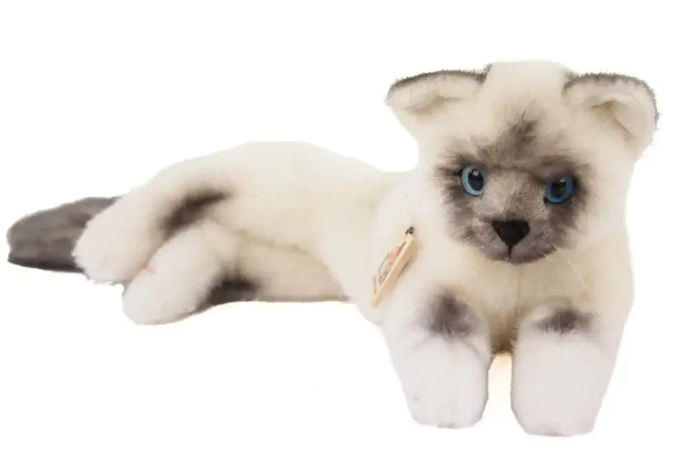 koesen-birmakatze-creme-41-cm-liegend-stofftier-1806 - kunstundspiel