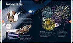 Buchseite mit Nachtpfauenauge-Schmetterling, Feuerwerk und Tierillustrationen für Kinder
