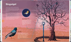 Singvögel wie Rotkehlchen und Star im Baum – nachhaltiges Kinderbuch mit Naturillustrationen