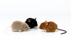 maus-pops-grau-kunstundspiel-3 - kunstundspiel