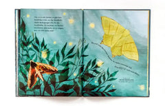Nachtwanderung - 9783962444914 Laurence King Verlag