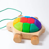 Nachzieh Schildkröte Regenbogen Grimms