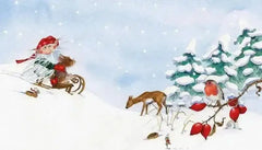 Ole und die Wintermaus Urachhaus