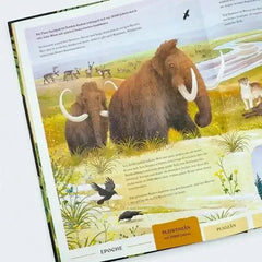 Urwelten. Eine illustrierte Entdeckungsreise durch die Erdgeschichte