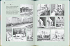 Illustrationen aus Kinderbuch über Hund Lampo auf Reisen, nachhaltiges Spielzeug & Bücher im München Shop