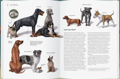 Bild von Hunden und Welpen mit Beschreibungen für nachhaltiges Spielzeug und Bastelartikel