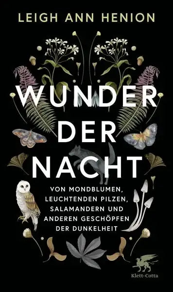 wunder-der-nacht-gebundene-ausgabe-leigh-ann-henion - kunstundspiel