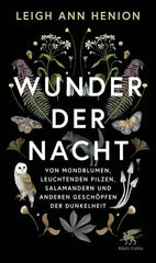 wunder-der-nacht-gebundene-ausgabe-leigh-ann-henion - kunstundspiel