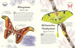 Wundervolle Welt – Kleine Schätze: Schmetterlinge