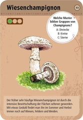 50 heimische Pilze