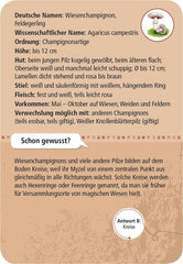50 heimische Pilze