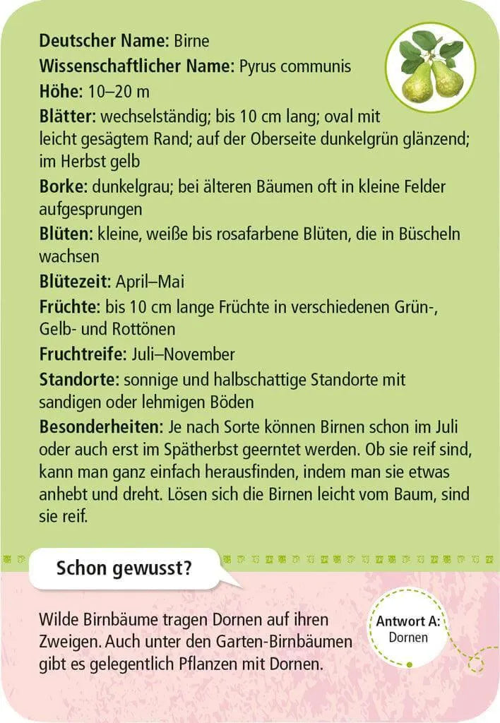 50 heimische Garten- & Feldpflanzen Moses
