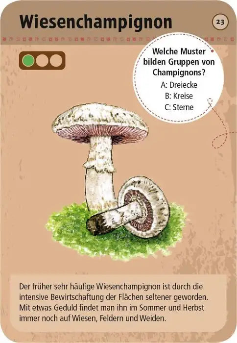 009912_INHALT_A_484x700_f4ff1215-0785-4183-b4ee-dbe4c102f88e - kunstundspiel 