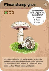 009912_INHALT_A_484x700_f4ff1215-0785-4183-b4ee-dbe4c102f88e - kunstundspiel 