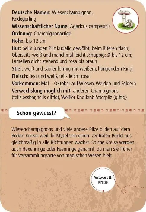 009912_INHALT_B_484x700_61bcf832-7cbc-4043-a586-b97d74cf5118 - kunstundspiel 