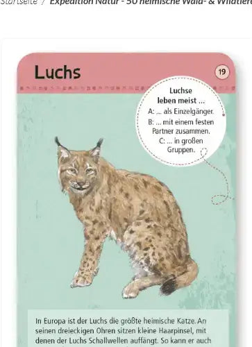 50 heimische Wald- & Wildtiere Moses