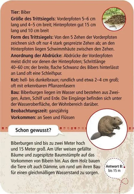 50 Tierspuren Moses