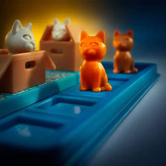 Alles für die Katz! – Katzen in Kisten Logikspiel ab 7 Jahren