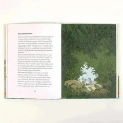 Ameisen in Adas Bauch Beltz Verlag