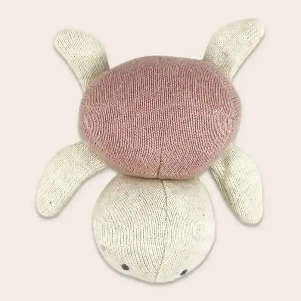 Babyrassel Schildkröte - rose Ava und Yves
