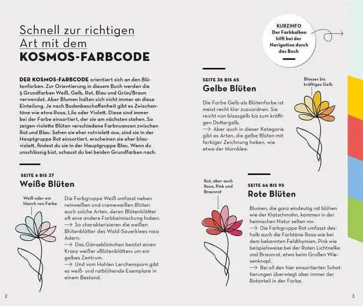 BASIC Blumen Franckh-Kosmos Verlag