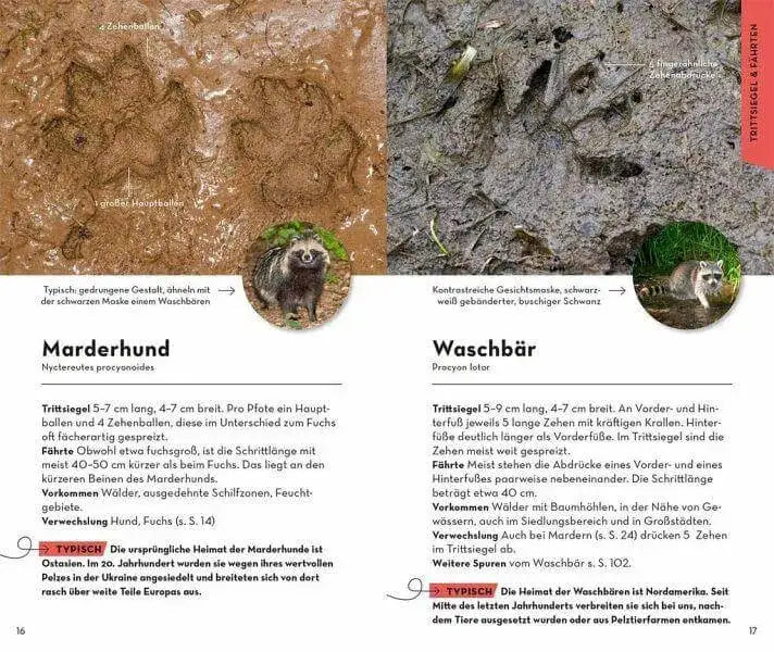 BASIC Tierspuren Franckh-Kosmos Verlag