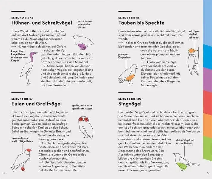 BASIC Vögel Franckh-Kosmos Verlag