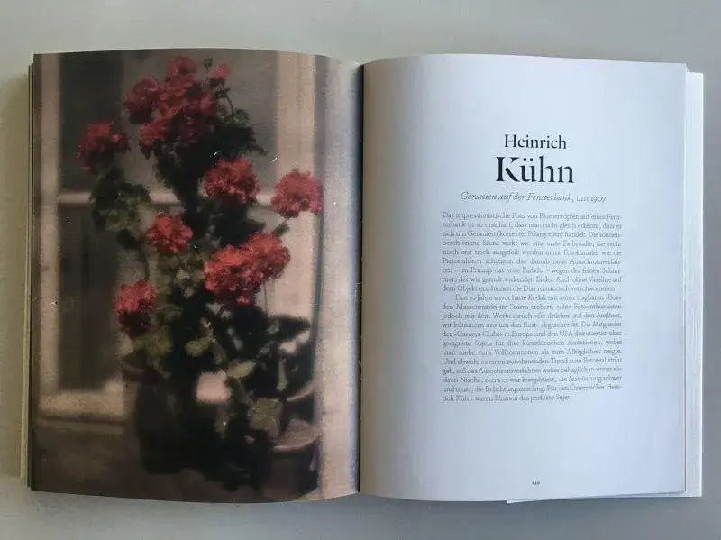 Blumen in der Kunst Dumont Verlag