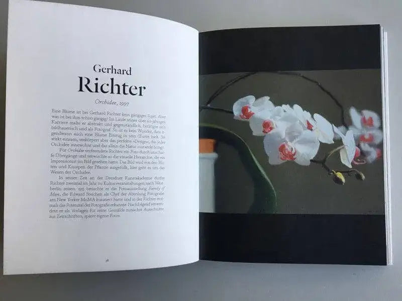Blumen in der Kunst Dumont Verlag