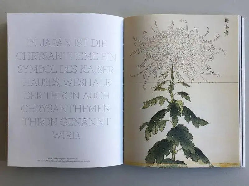 Blumen in der Kunst Dumont Verlag