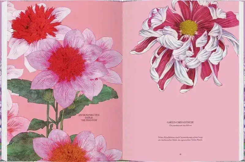 Blüten - 9783836922081 Gerstenberg Verlag
