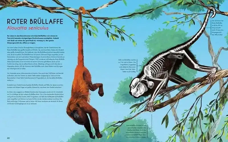 Bones - Knochen und Skelette in der Tierwelt - 9783734860850 Magellan