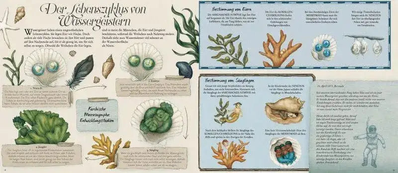 Das große Handbuch der Nixen und Wassermänner Prestel Verlag