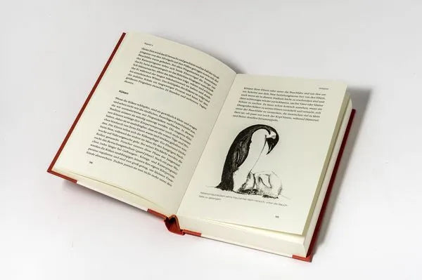 das-kleine-buch-der-pinguine-kunstundspiel-2 - kunstundspiel 