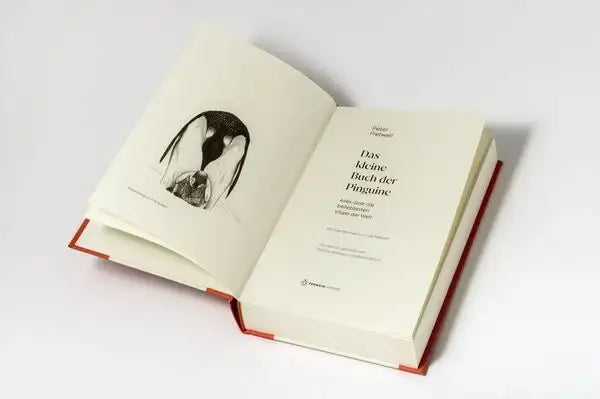 das-kleine-buch-der-pinguine-kunstundspiel-5 - kunstundspiel 