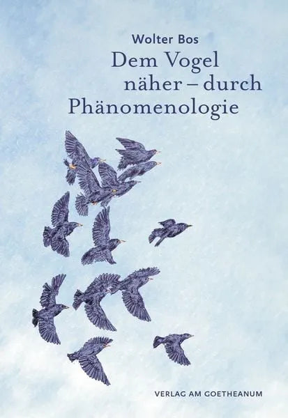 dem-vogel-naher-durch-phanomenologie-kunstundspiel-1 - kunstundspiel 