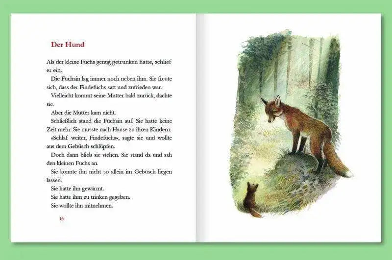 Der Findefuchs (gebundene Ausgabe) DTV