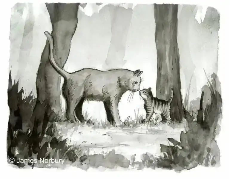 die-katze-die-nach-weisheit-sucht-kunstundspiel-2 - kunstundspiel 